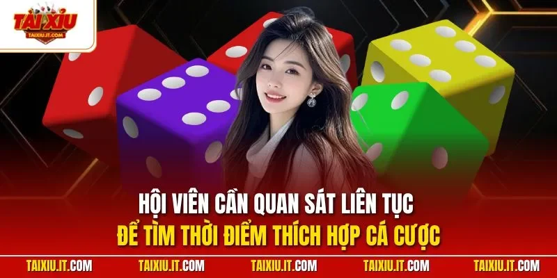 Hội viên cần quan sát liên tục để tìm thời điểm thích hợp cá cược