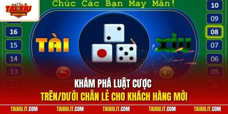 Khám phá luật cược trên/dưới chẵn lẻ cho khách hàng mới