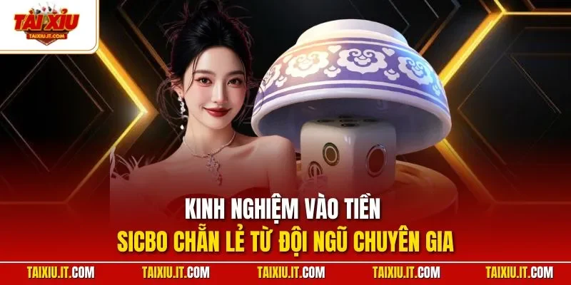 Kinh nghiệm vào tiền Sicbo chẵn lẻ từ đội ngũ chuyên gia