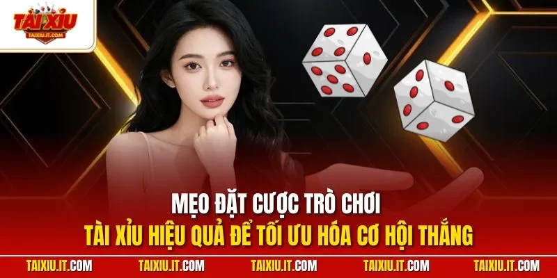 Mẹo đặt cược trò chơi tài xỉu hiệu quả để tối ưu hóa cơ hội thắng