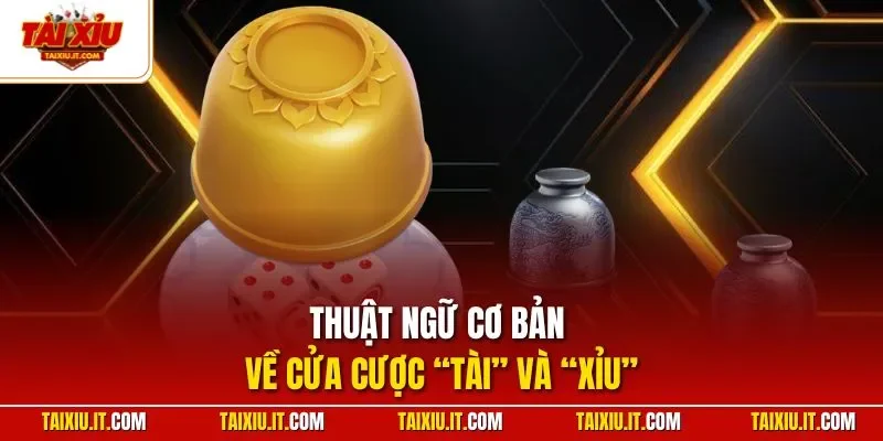 Thuật ngữ cơ bản về cửa cược “Tài” và “Xỉu”