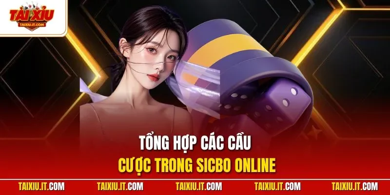 Tổng hợp các cầu cược trong Sicbo online